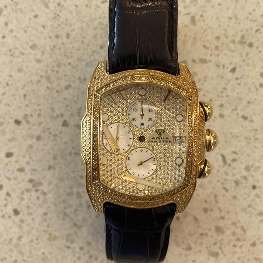 Aqua Master Watch